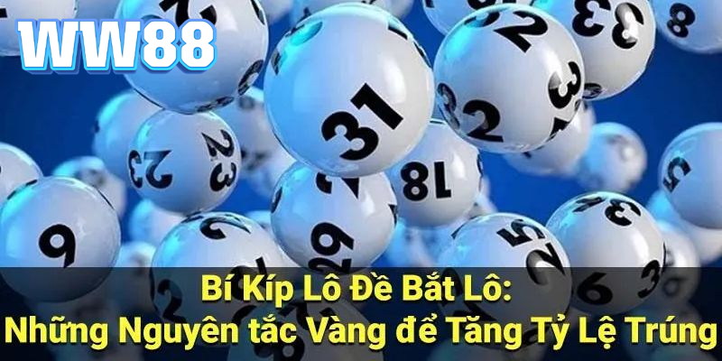 Bỏ túi một số lưu ý quan trọng